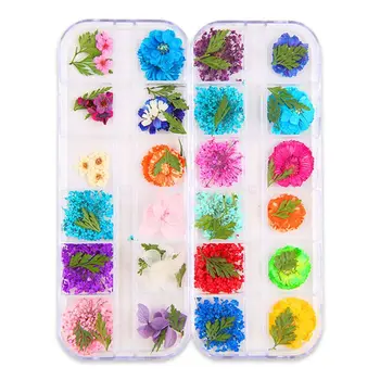 

12 Pcs/box Dried Flowers Epoxy Sheet UV Decoration Resin Silicone Mold DIY Jewelry Filler Beauty Nail Accessory Y4QB