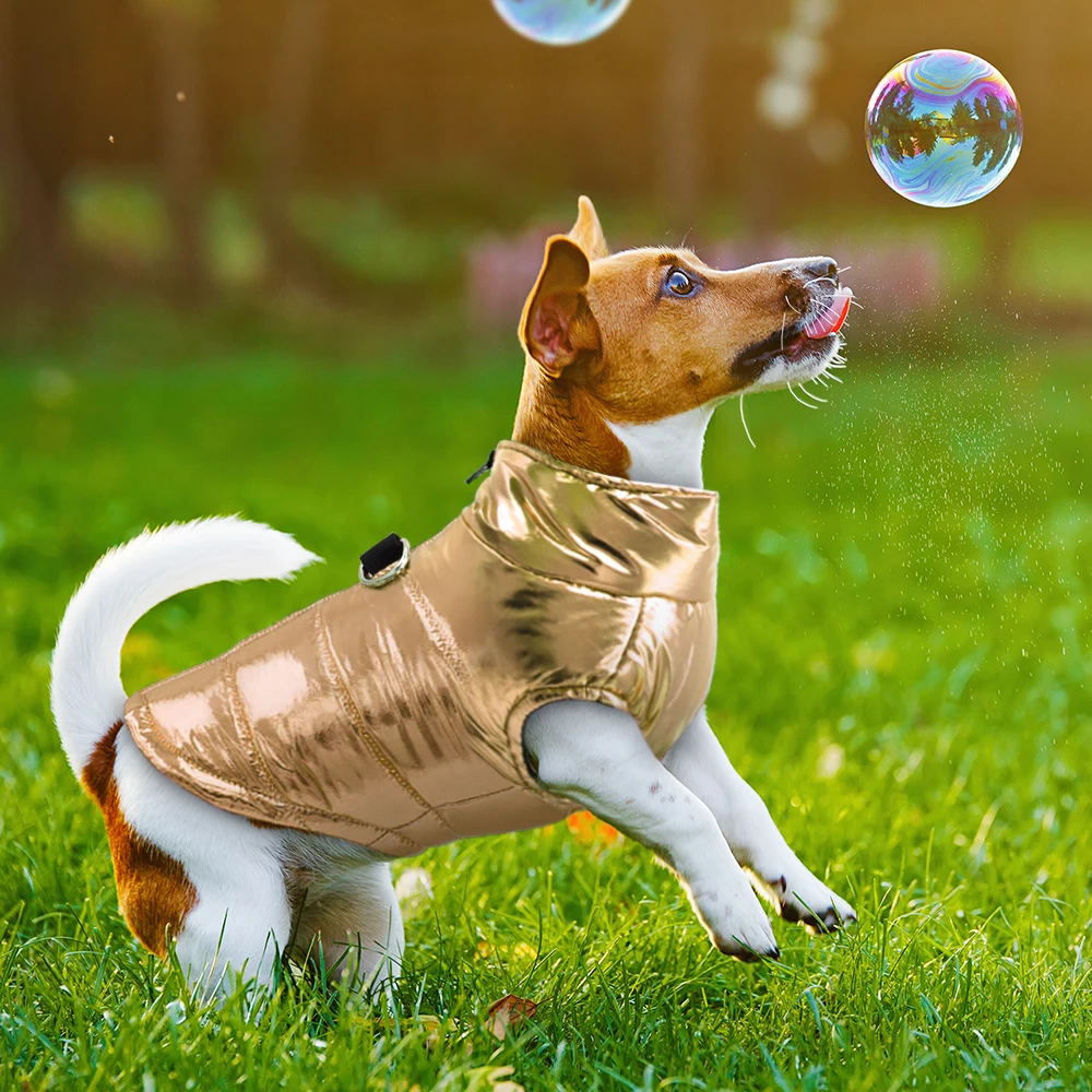 Ropa para perros pequeños ropas impermeables para perro cachorro mascota chaqueta invierno cálido chaleco perro abrigo ropa para Chihuahua Bulldog Francés 5
