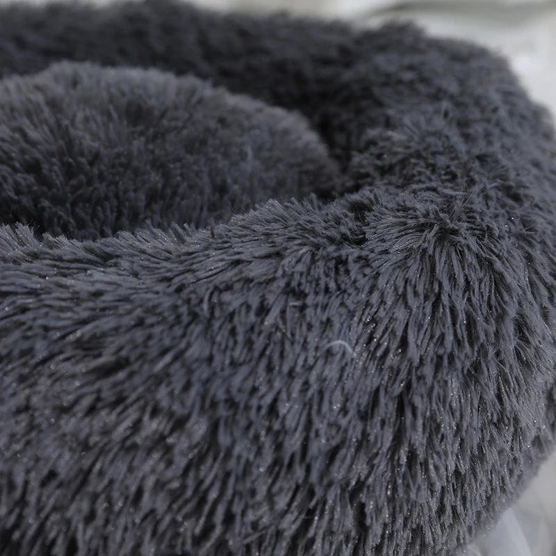 12948127982_496521372