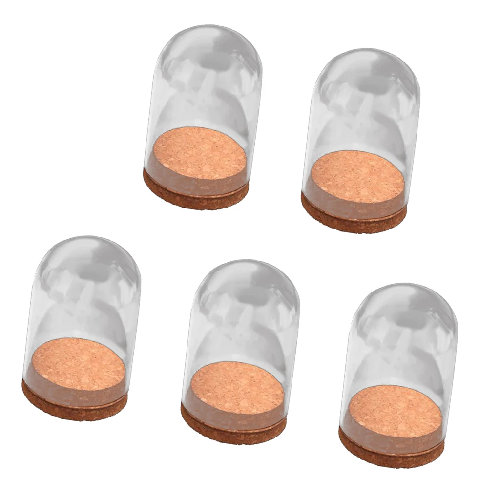 5Pcs  Dome Clear Glas Wooden Cork Base Shade Cover Shield Shelf Display Home Decorations