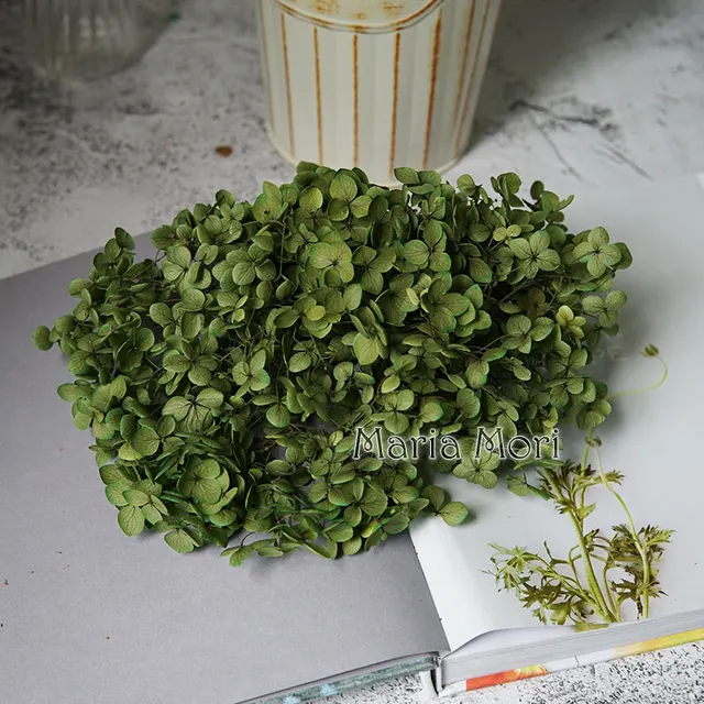Anna Hydrangea  Flowers  Little  Leaves Preserved Hydrangea Decor  Office Decor  DIY Flowers Color S007