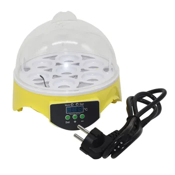 

Mini 7 Egg Incubator Poultry Incubator Brooder Digital Temperature Hatchery Egg Incubator Hatcher Chicken Duck Bird Pigeon