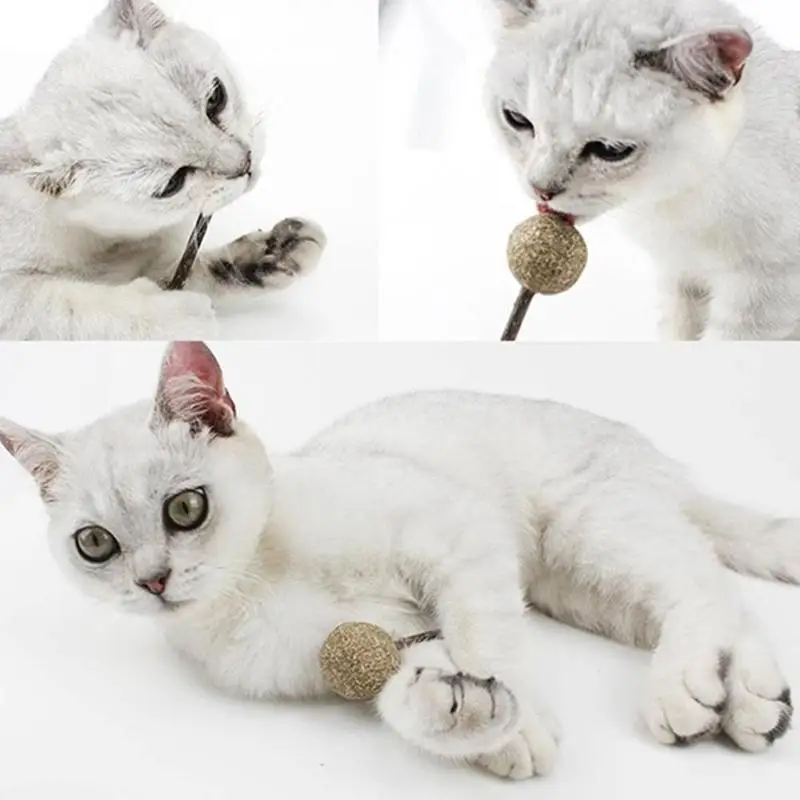 Мячик для питомца кошачьей кошки леденец с палкой игрушка для кошки чистка зубов лакомства котята коты любовь игральные игрушки