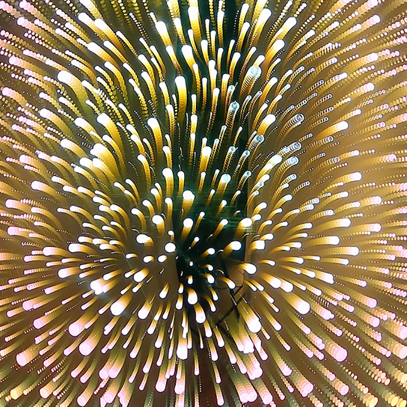 HTB1tno8bVYM8KJjSZFuq6Af7FXav