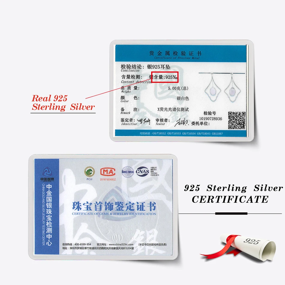 SE236-MAIN-IMG_1991-R