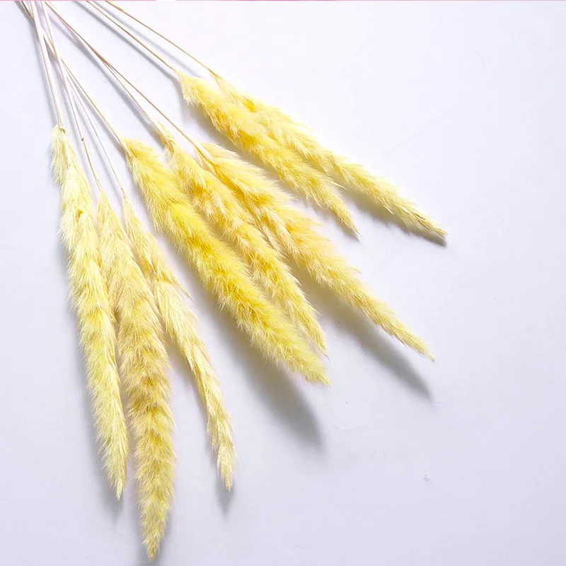 15 шт. сушеные маленькие пампасы трава Phragmites украшения для дома, отеля, свадьбы SLC88