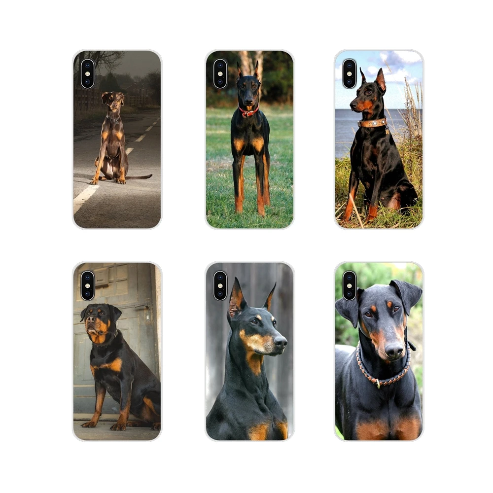 dirt customs doberman
