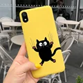 Cats-c57