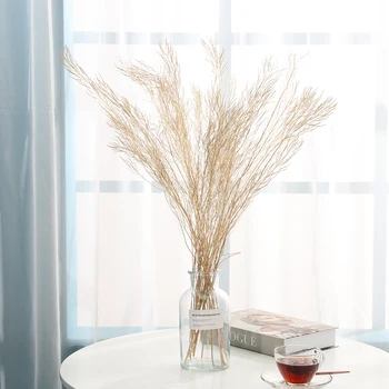 

Wedding Decoration Phragmites Pampas Grass Large Real Natural Dried Plants Flower Bouquet Family Arrangement Fast Shipping