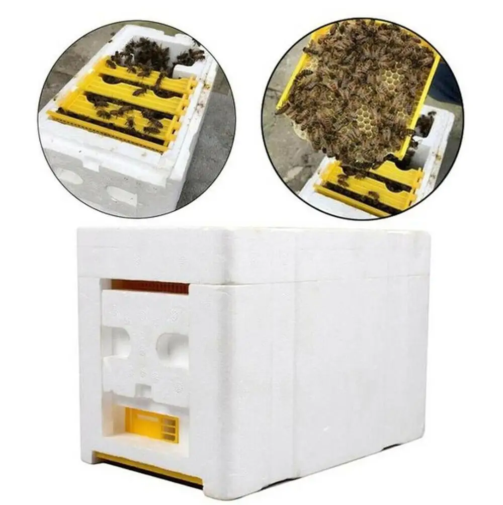 1 шт. домашний улей коробка для сбора урожая пчелы королевская коробка для опыления инструмент для пчеловодства урожая пчелиный улей твердый пенопластовый каркас коробка для опыления