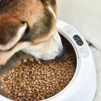 

Stainless Steel Heated Dog Feeder Smart Thermal Feeding Device Non-Slip Dog Bowl Indoor Outdoor Round Food Water Bowl