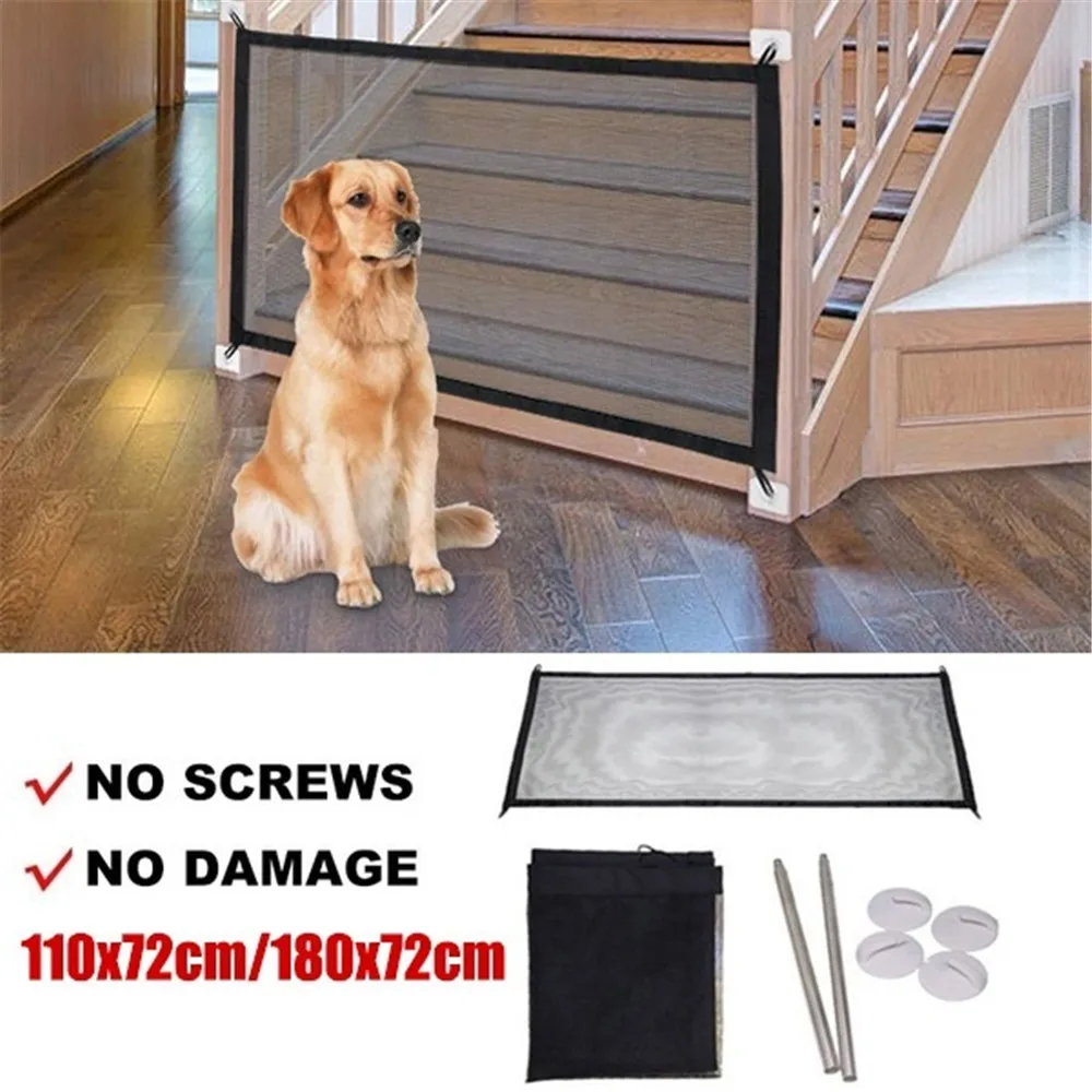 no dog fence