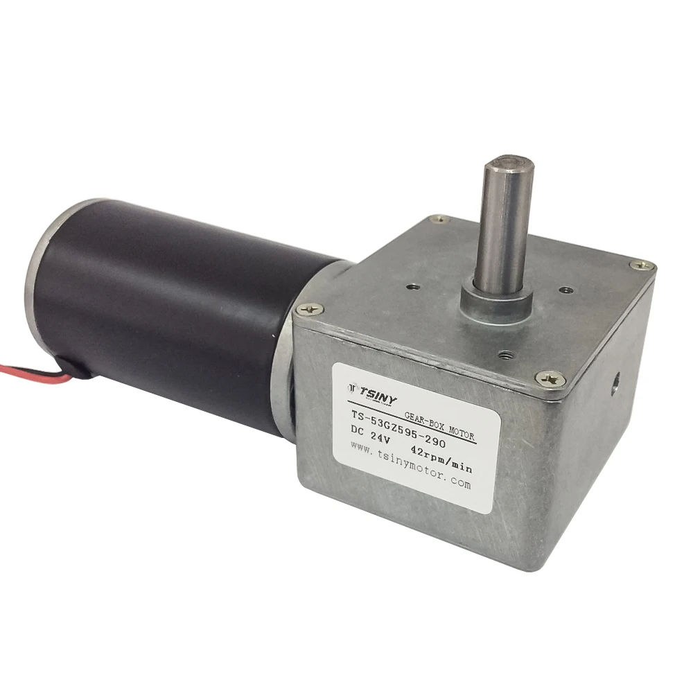 

53GZ595 DC Gear Motor 12V 24V 22/42RPM With Reductor High Torque Electric Gear Motor With With CW/CCW Self-locking Function