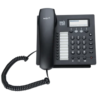

IP622CWP Standard Business IP Phone with wifi Wireless 2 sip accounts IP Phone support PoE TR069 with 10 speed dial buttons