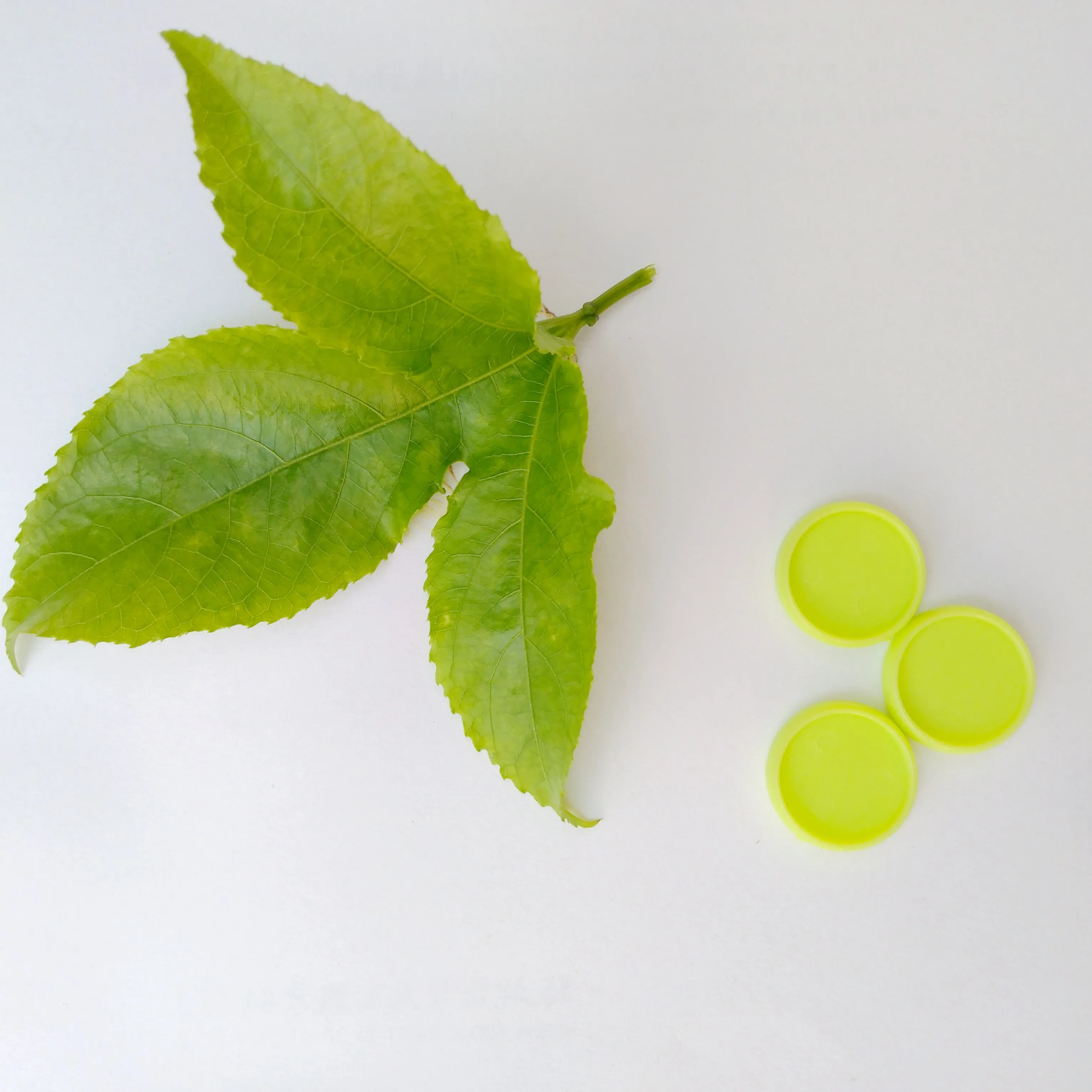 

12pcs Binding Loose-leaf Binder of 20mm Color Plastic Disc Buckle Disc T-shaped Umbrella Mushroom Hole Loose-leaf Binder