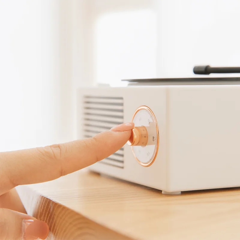 Cute Record Player Speaker