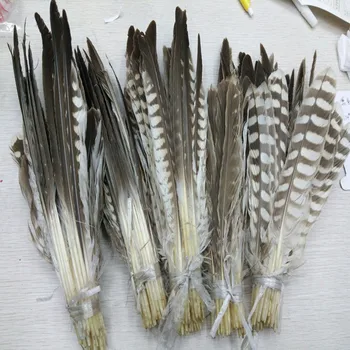 

Wholesale 52pcs A Set Rare Natural Eagles' Feathers 20-40cm/8-16inches For Wedding Christmas Home Craft Decoration