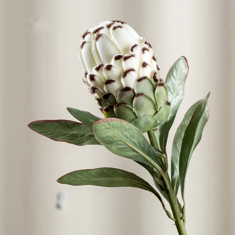 White Большой искусственный прочай цинароиды шелк+ пластиковые цветы для свадебных украшений венок поддельные растения искусственные цветы - Цвет: White