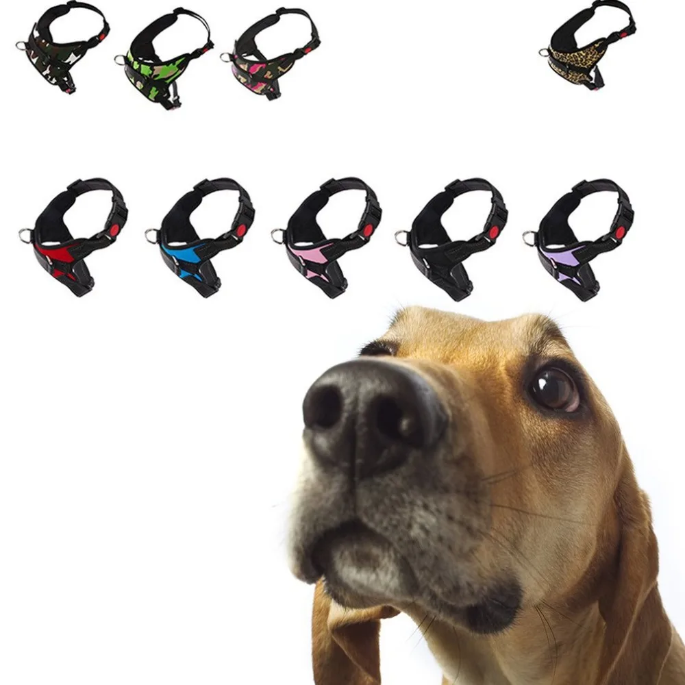 YY10625301-C-53107-1