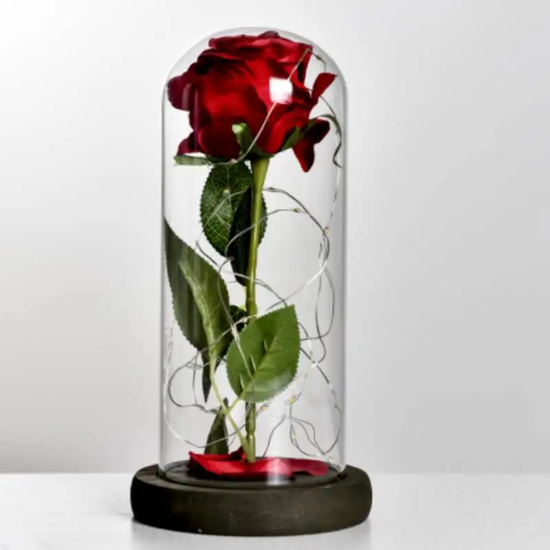 VIp падение День святого Валентина подарки Красавица и Чудовище светодиодный Роза в стеклянном куполе деревянная База Светодиодный лампы с розами - Цвет: 15