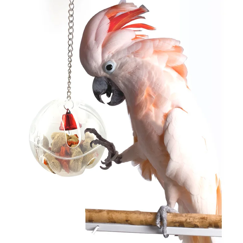 Durable Pet Parrots Ball Toys Hanging Feeder With Chain Cage Pendant Birds Intelligence Foraging Bird Accessories | Дом и сад