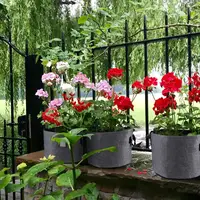 Planting bag black/grey potato fabric vegetable seedling  growing pot garden tools 1-15 gallon eco-friendly grow bag 5