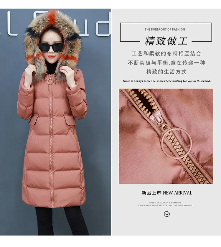 Autumn And Winter Thick Zipper Mid-length Cotton-padded Clothes Women's Korean-style Color Large Fur Collar over-the-Knee S