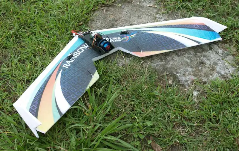 Rainbow Fly wing-1 (2)