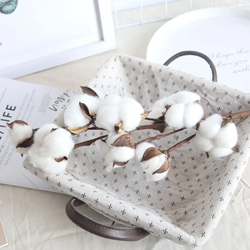 10 - WTX80827481_20180827085556945