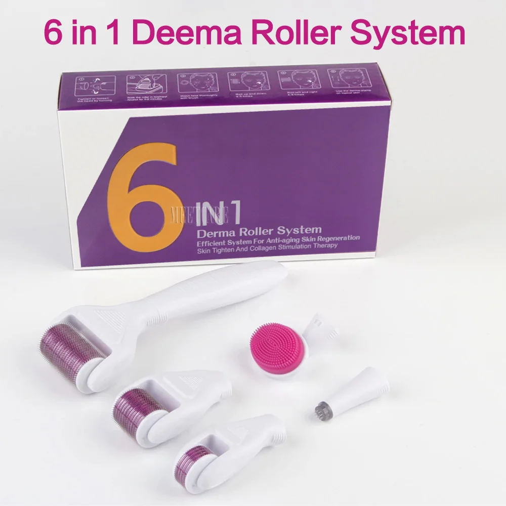 6 in 1 derma roller  (1)