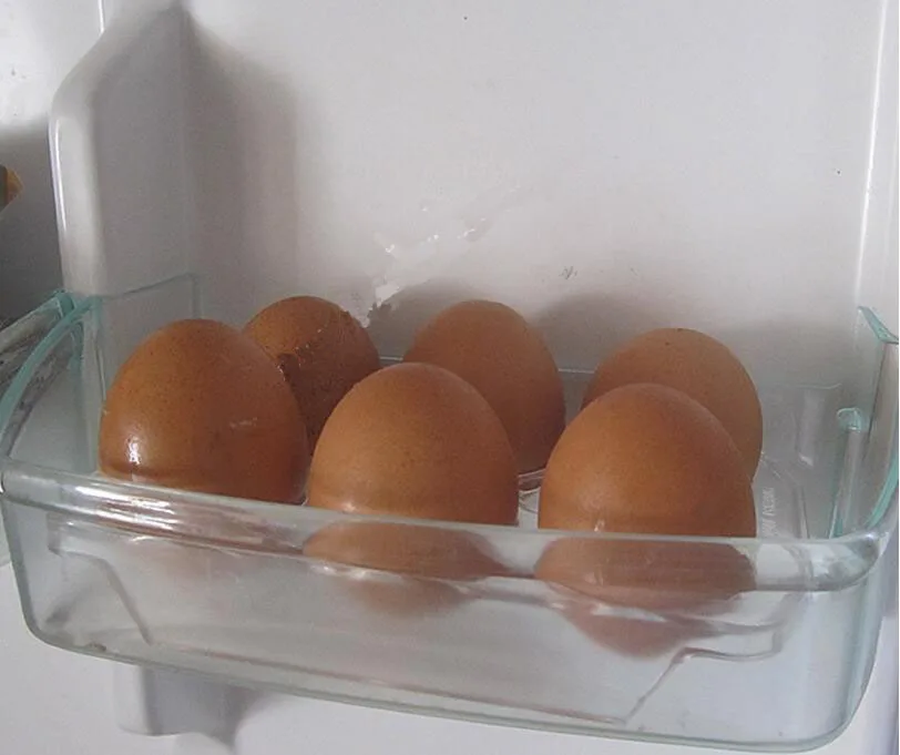 Quality Refrigerator Parts 6 Holes Transparent Plastic Egg Case Replacement For Haier Universal Fridge 159x95x23mm Aliexpress