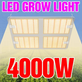 

Indoor 1000W 2000W 4000W Full Spectrum LED Plant Grow Light Lamps For Flower Plant Veg Hydroponics System Grow Tent Box 2835SMD