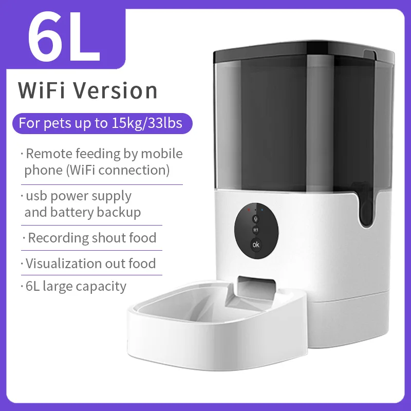 WiFi Version 6L