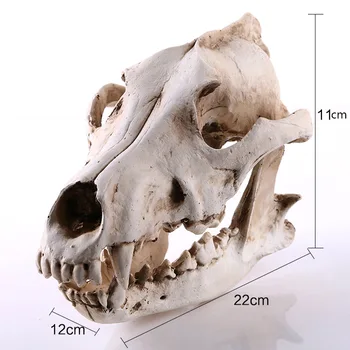 

[HHT] Creative Resin Crafts Animal Skull Ornaments Jackal Skull Home Decoration Accessories Terror Halloween Gifts