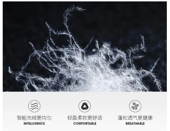 360截图20200421175147343