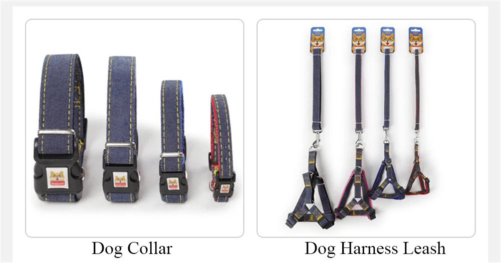 10246325307_181355791