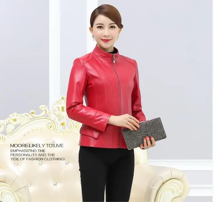QQ0802104814
