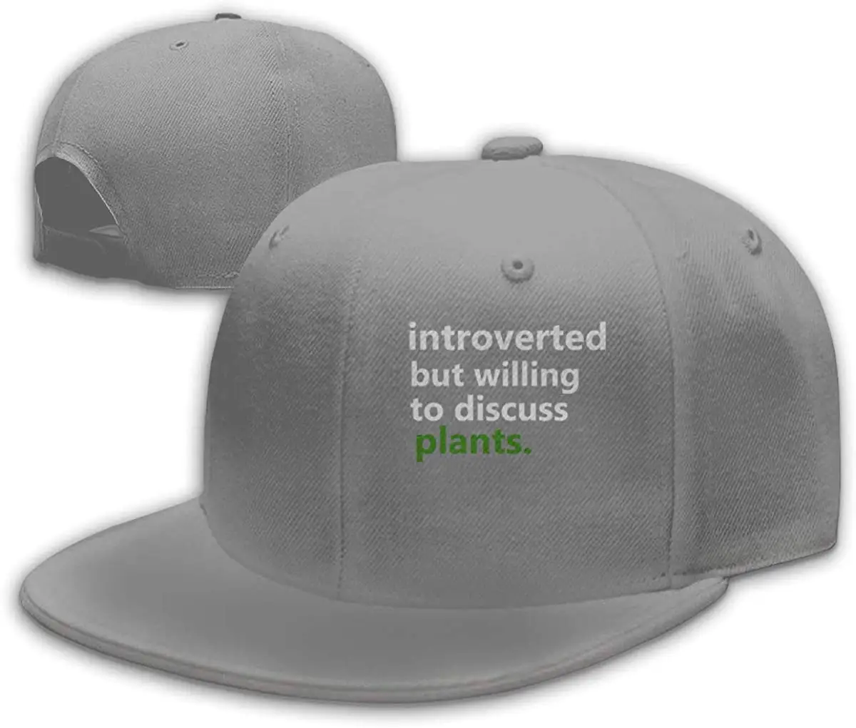 Introverted, но готовы обсудить растения мужские Snapback плоские Билла бейсболка серый