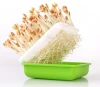 1Pc Hydroponic Bean Peanut Sprout Box Nursery Pot Pea Wheat Seedling Sprouter Garden Germination Soilless Planting Tray 4