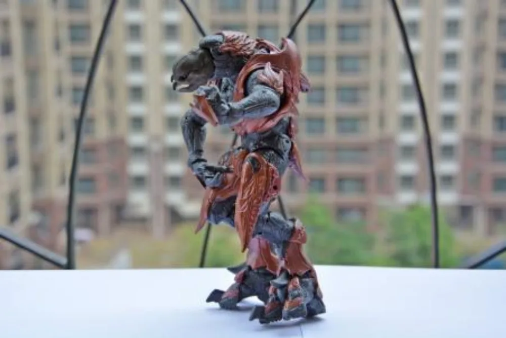 DSC_0028_0001.JPG=450