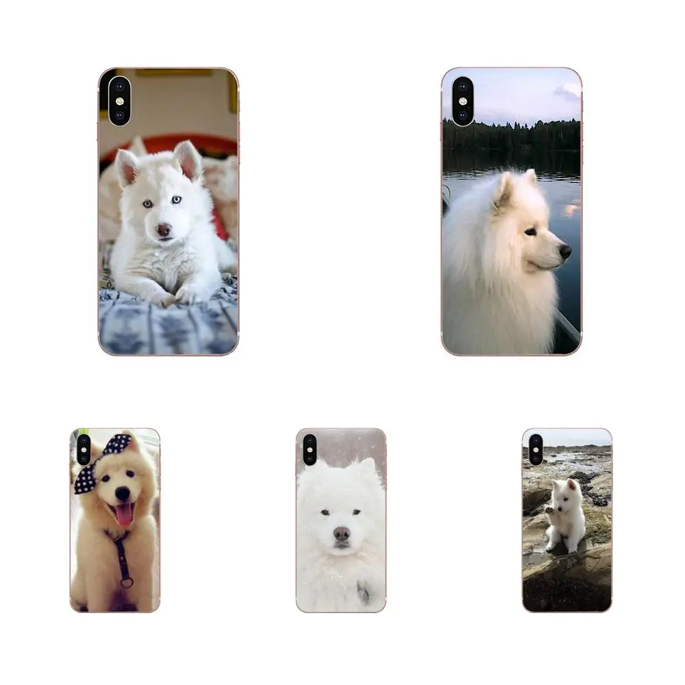 Cute White Samoyed Soft TPU Cell Bags For Samsung Galaxy A10 A20 A30 30S A40 A50 A50S A60 A70 A70S A80 A20E A51 A71 A9 2018 | Мобильные