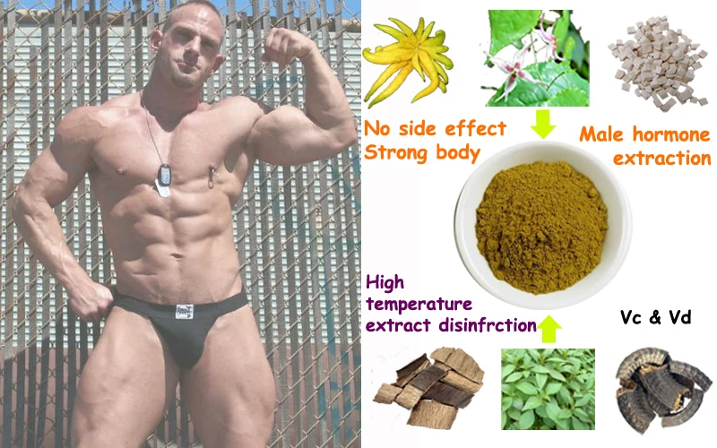 Тонизирующий порошок для мужчин экстракция натуральных диких механических трав
