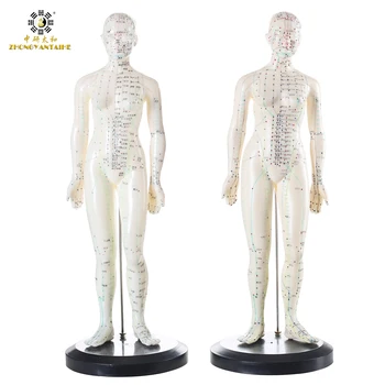 

26cm Male Human Acupuncture Points Model Acupuncture Point Model Chinese body model for acupuncture point