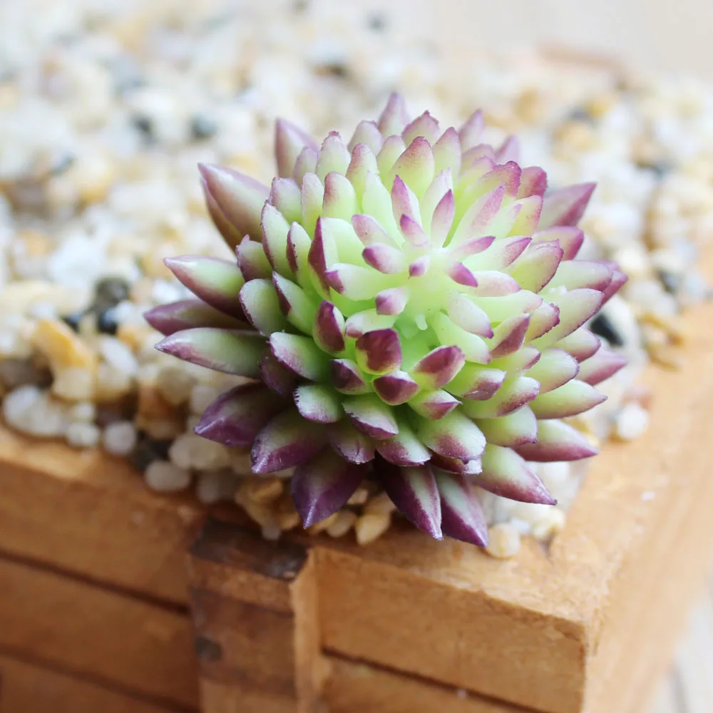 5PcsPack High Quality Simulated Succulent Plants Mini Lotus For Office Table Decoration Festival Gift Artificial Flower JH233 (3)
