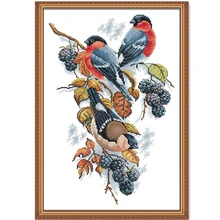 Red bellies Magpies and blackberries cross stitch kit aida 14ct 11ct count print canvas stitches embroidery handmade needlework