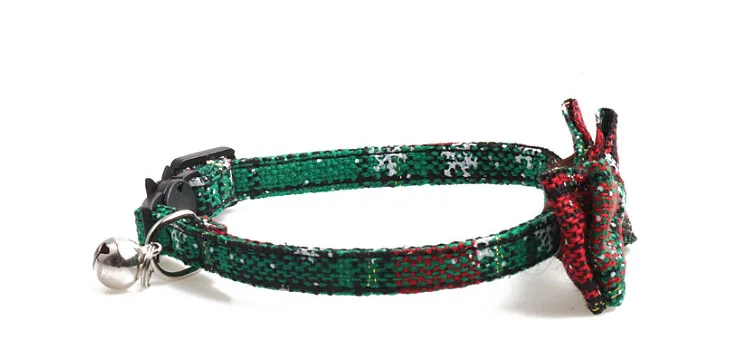 11333345047_307791824