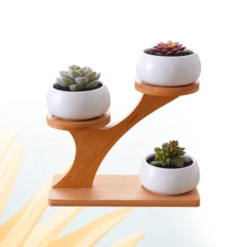 

1 Set Modern Minimalist Ceramic Flowerpot Succulent Plant Pot 3 Bonsai Planters with 3-Tier Bamboo Shelf Home Garden Decor Free