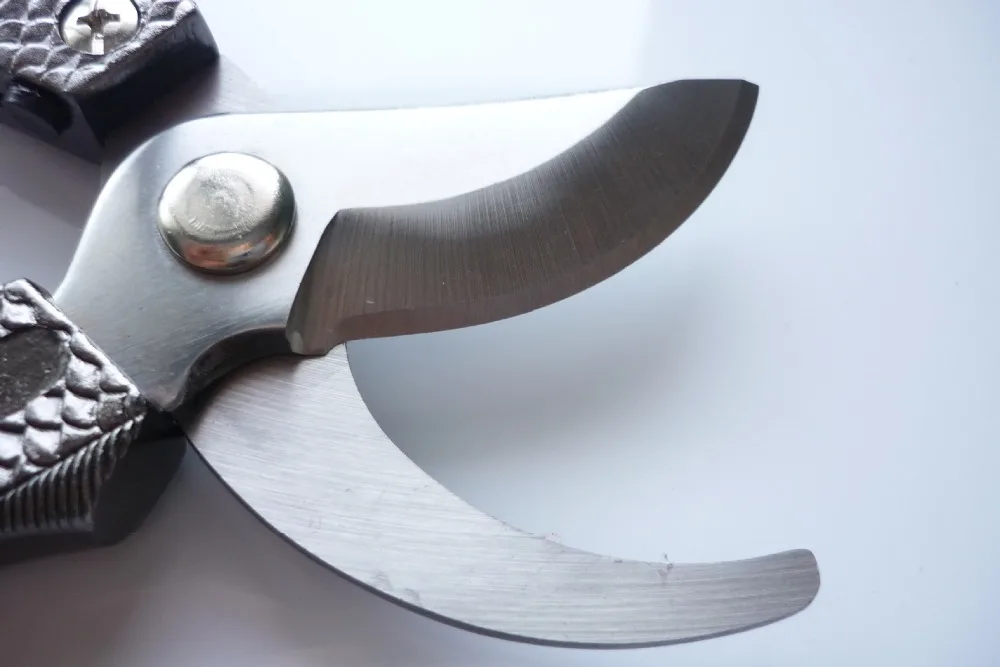 11195266815_1378621806