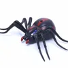 Simulation Infrared Electronic Remote Control Animal Robot Insect Prank Cat Dog Pet Toy Cockroach Remote Control Spider Cobra 2