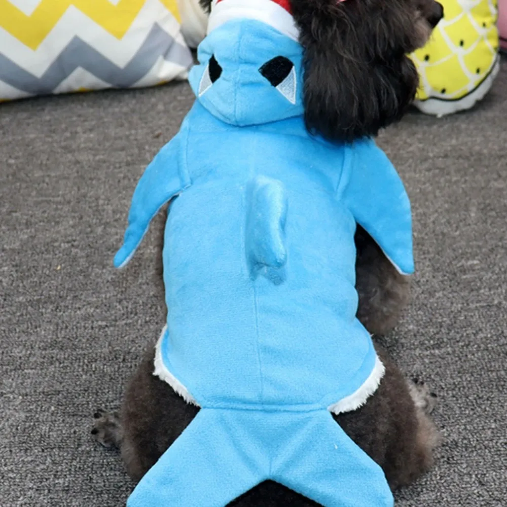 PLL91129519L_0514334623115561578